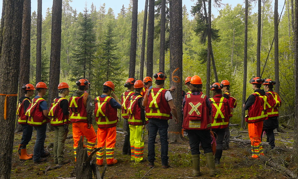 A group of people wearing safety helmets and high-visibility vests stand among trees in a forest, listening to an outdoor forestry field instruction.