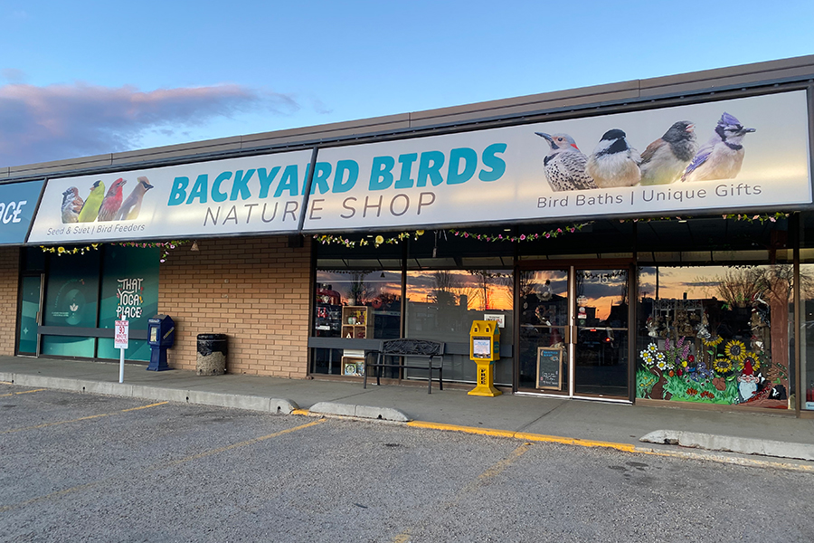 backyard birds storefront, spruce grove