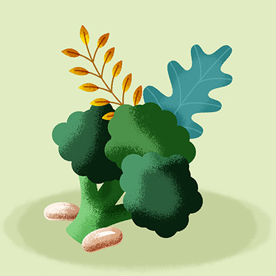 illustration of broccoli