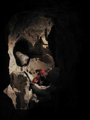 ascending out of Alberta cave for bat research