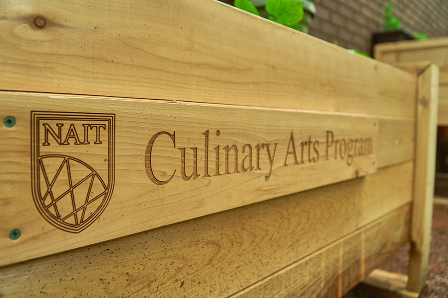 planter box made by NAIT's carpenter program for the on-campus culinary garden