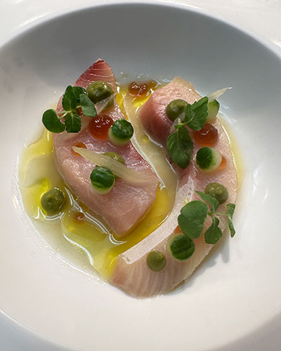 Two slices of raw fish plated with olive oil, green peas, roe, and fresh herbs in a white bowl.
