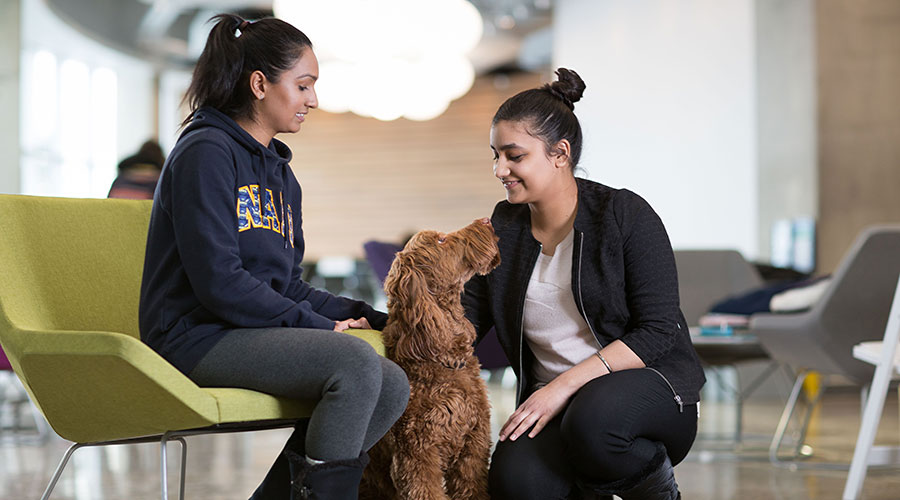 flynn, nait's animal assisted therapy dog and students