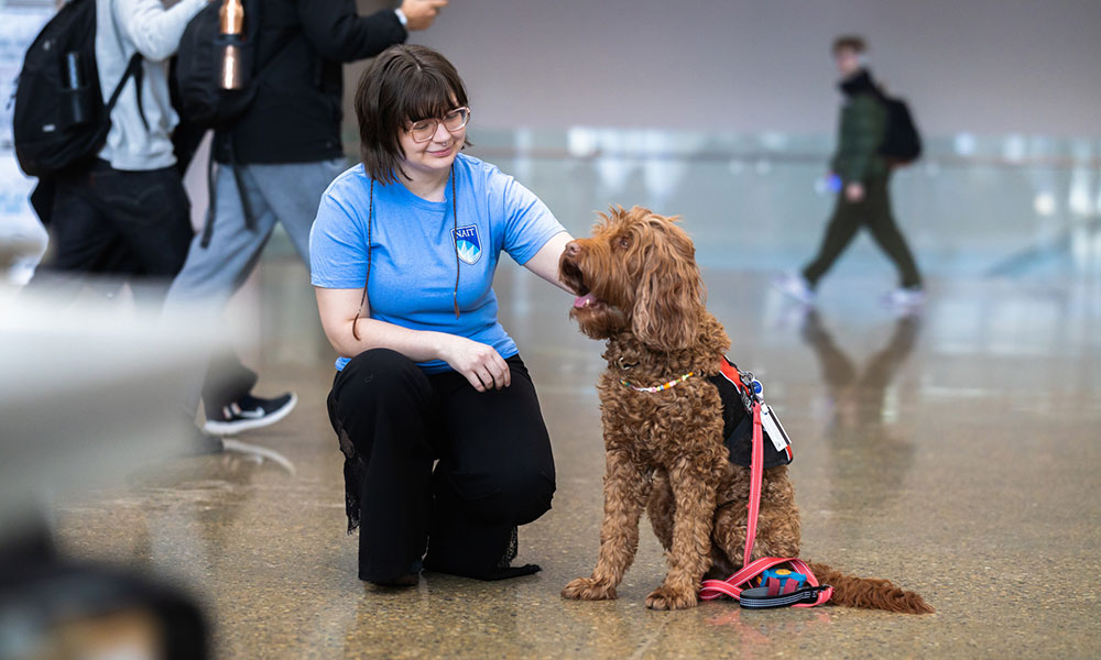 photo of nait's therapy dog flynn with a staff member in the centre for applied technology