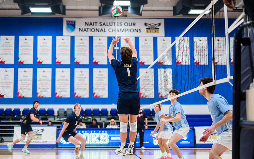 A volleyball player in a dark jersey jumps to set the ball during a match against a team in light blue uniforms.