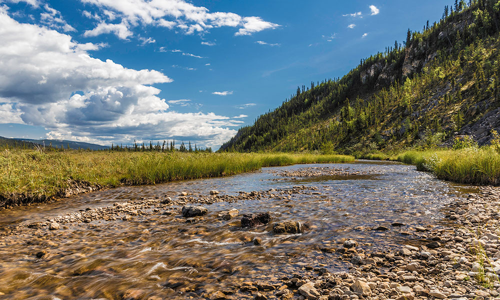 A shallow, rocky river winds through a lush valley, bordered by green grasses and forested hills under a bright blue sky with scattered clouds.