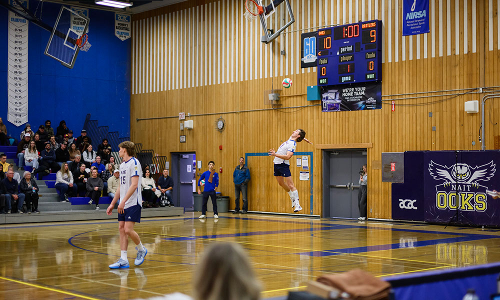 a male volleyball player is about to serve the ball. it is in the air above him and he has jumped off the ground. his hand is back behind his shoulder ready to strike