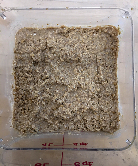 experimental oat miso