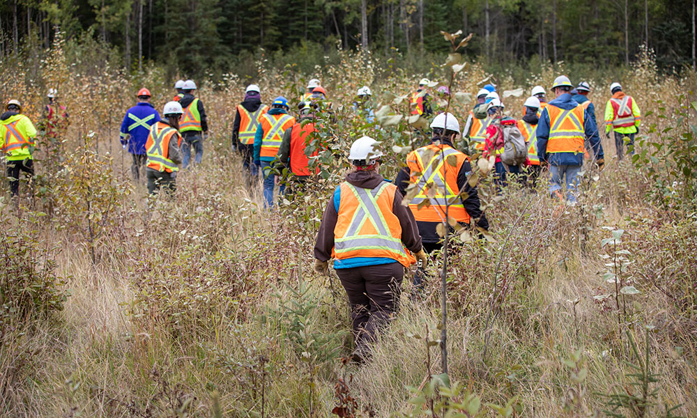 A group in safety vests and hard hats walks through tall, dry grass and saplings into a lightly wooded area. They are moving away from the viewer in natural daylight.