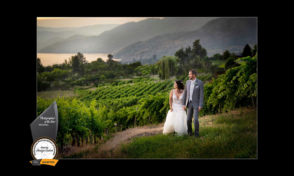 award-winning wedding photo by railene hooper featuring a bride and groom in a vineyard