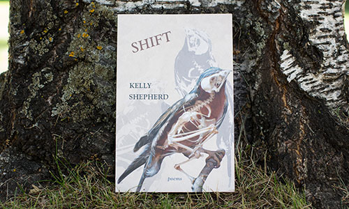 Shift by Kelly Shepherd, a book of poetry published by Thistledown Press in 2016
