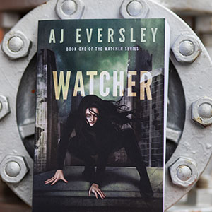 the watcher, novel by NAIT grad amy eversley
