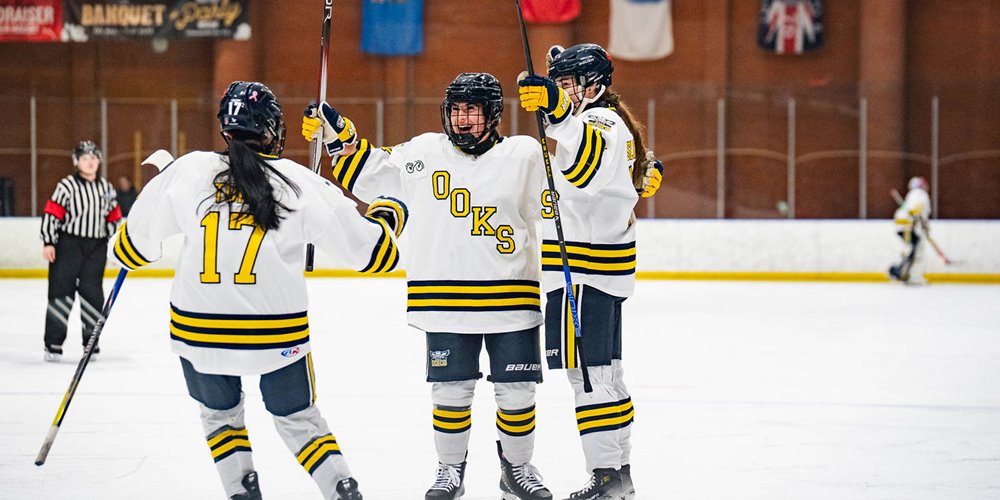Three hockey players wearing white jerseys with yellow and black stripes celebrate on the ice, holding sticks upright, with a referee and flags visible in the background.