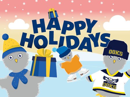 Cartoon owls in winter clothing and NAIT Ooks gear with gifts and skates under the text ‘Happy Holidays’ on a snowy background.