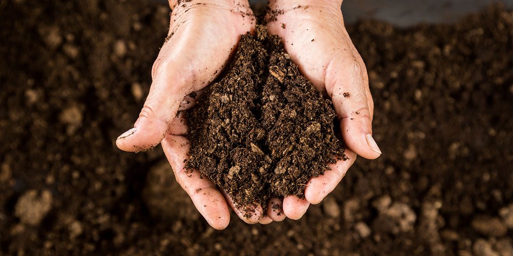 Two hands gently cradle a pile of dark, rich peat mossl. The texture of the soil appears loose and slightly clumpy. In the blurred background, more of the same dark soil is visible.