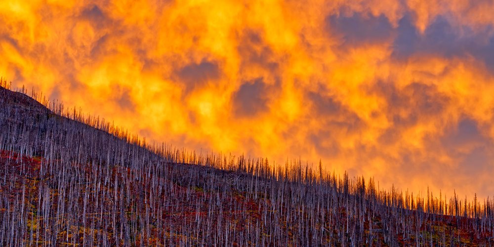 Don White, istockphoto.com fire on the side of a mountain