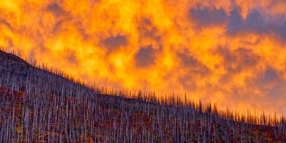 fire on the side of a mountain