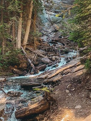 Photo supplied by Kezia Hatch wilderness at Banff, alberta