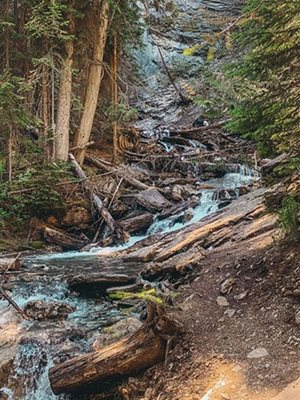 wilderness at Banff, alberta