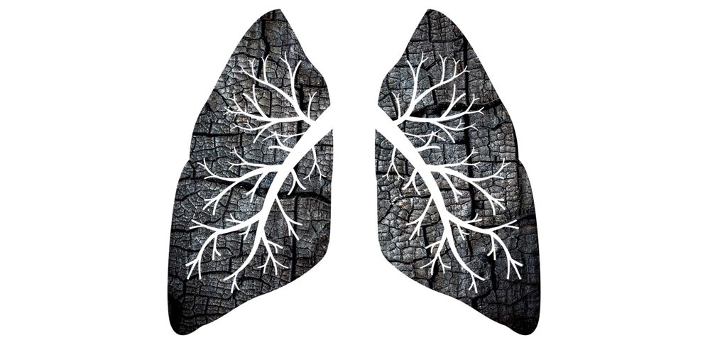 Illustration by Rory Lee illustration of lungs made from charcoal